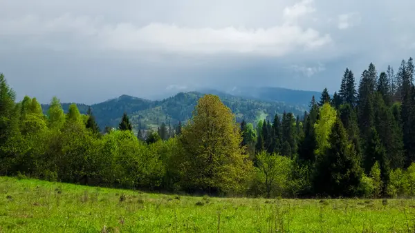 dağlar yeşil ağaçların