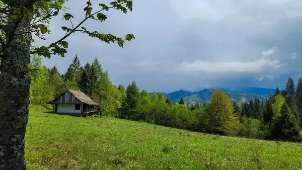 Yeşilliklerle çevrili bir dağ evi manzarası.