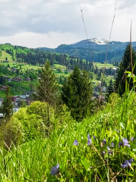 Dağların güzel manzarası