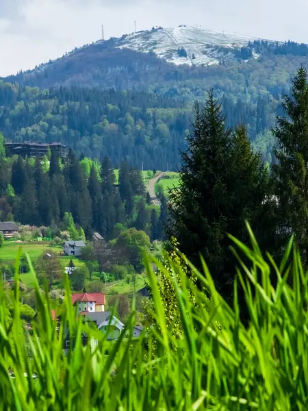 Almanya 'da bir dağı ve küçük bir ormanı olan güzel bir manzara.