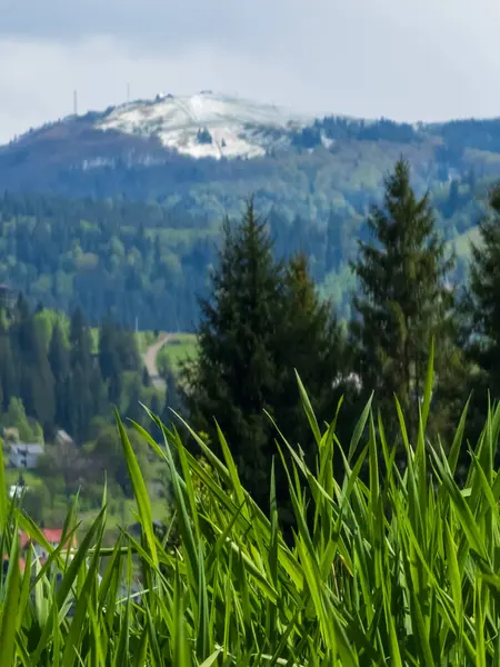 Bulutlu gökyüzünün altında yeşillikle kaplı güzel bir dağ manzarası.
