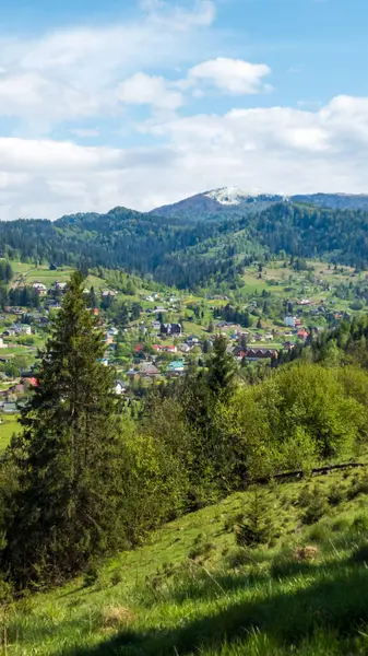 Güzel yeşil ormanları olan dağ manzarası..