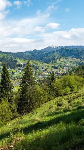 Güneşli bir günde güzel bir dağ manzarası.