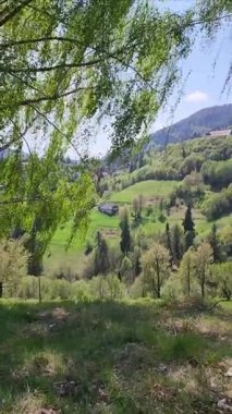 Güzel dağ manzara arka plan