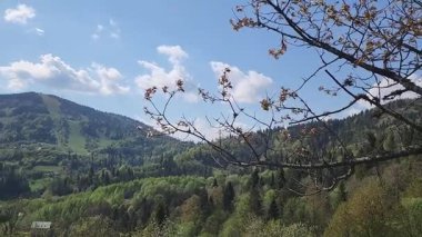 Sabahleyin dağların manzarası