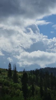 Ağaçlar ve bulutlarla dolu güzel bir manzara.