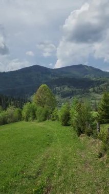 Doğanın güzel manzarası