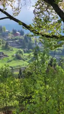 Güzel doğa manzarası.