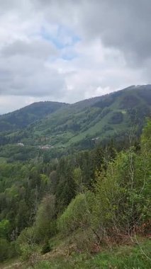 Dağın tepesinden manzara