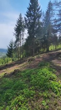 Eski şehrin manzarası.