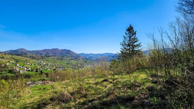 Önünde bir dağ olan yeşil tepelerin güzel manzarası.