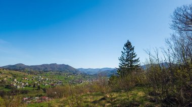Karpatlar 'daki güzel dağ manzarası, Ukrayna.
