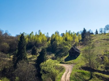 Ağaçlı kırsal yol, orman, tepe, köy ve köy, bahar zamanı