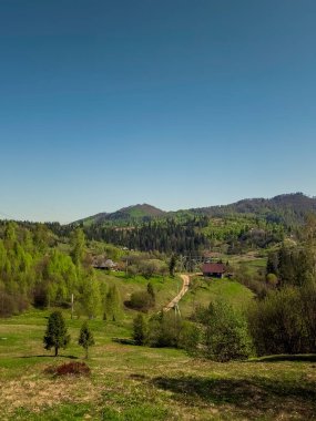 Güzel bir dağla bahar manzarası