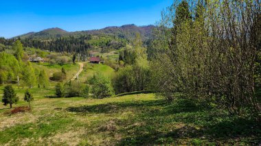 yeşil bahar ve güzel manzara