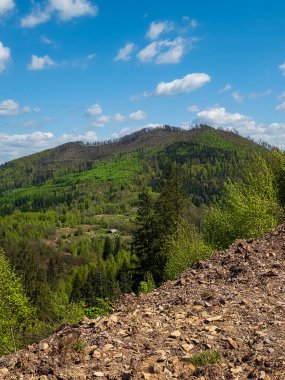 Karpatların dağlarının zirvesinden güzel bir manzara.