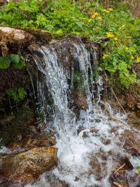Nehrin kayalık kıyısında küçük bir şelale..