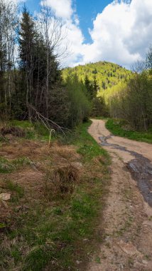 Dağ sırasına giden yol