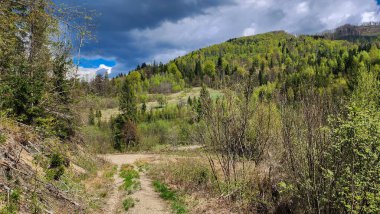 Tatra Ulusal Parkı 'nda güzel bir dağ yolu..
