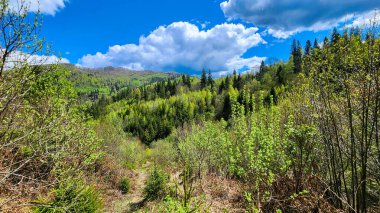 Dağlarda dağları olan güzel bir manzara.