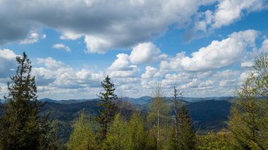 Doğanın güzel manzarası