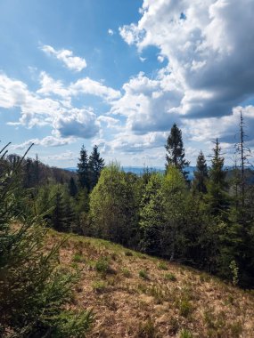 Dağların güzel manzarası