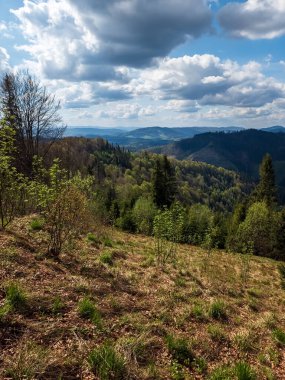 Bulutlu bir gökyüzünün altında yeşil ağaçları olan güzel bir dağ manzarası.