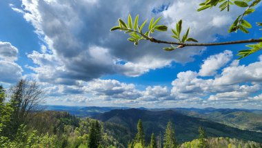 Arkasında bir dağ olan güzel bir manzara.