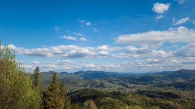 Yaz mevsiminde Karpat Dağları manzarası