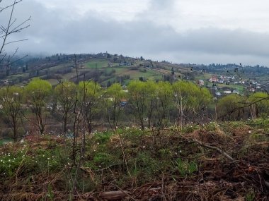 Romanya 'nın Bussgi köyü