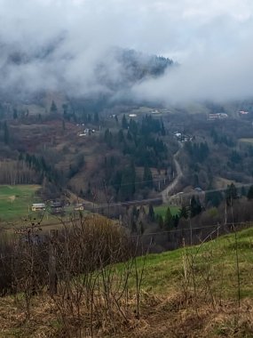 Ağaçlarla çevrili bir dağ yolunun güzel bir görüntüsü.