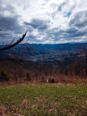Arka planda ağaç olan güzel bir manzara.