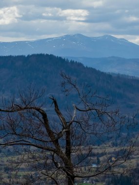 Dağların güzel manzarası