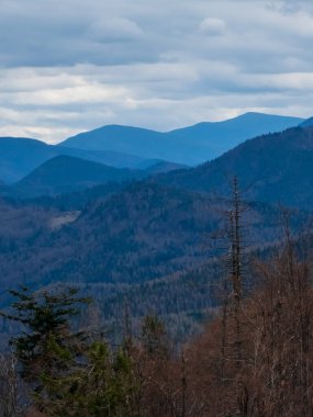 Dağ manzarasının güzel bir görüntüsü.