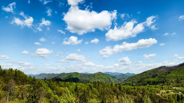 Karpat dağlarının panoramik manzarası, yaz mevsimi, Ukrayna
