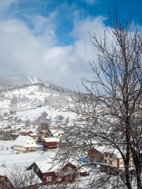 Karla kaplı ağaçlarla kaplı güzel kış manzarası