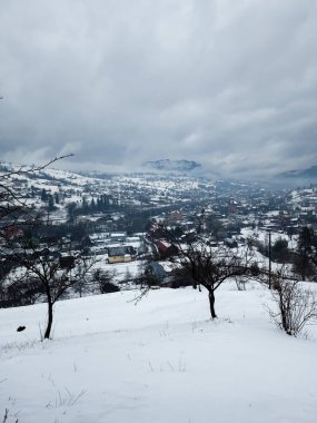 Karla kaplı ağaçlarla kaplı kış manzarası