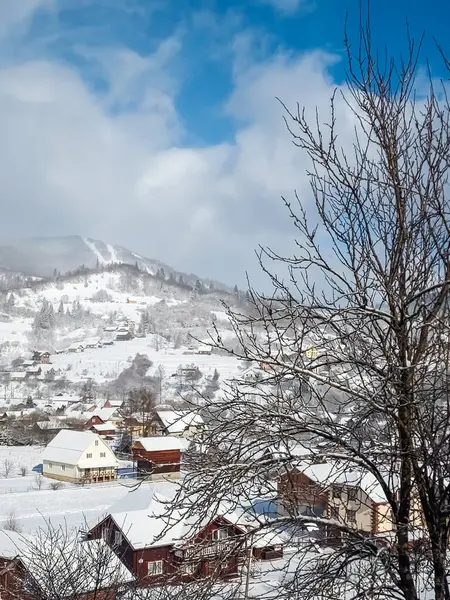 Karla kaplı ağaçlarla kaplı güzel kış manzarası