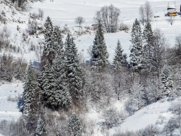 İsviçre Alplerinde kış