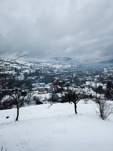 Karla kaplı ağaçlarla kaplı kış manzarası