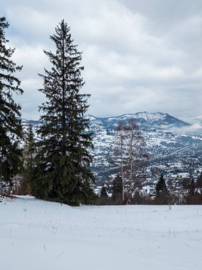 Karla kaplı ağaçlar ve dağlarla kaplı kış manzarası