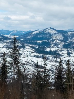 Kar ve köknar ağaçlarıyla kaplı dağların kış manzarası.