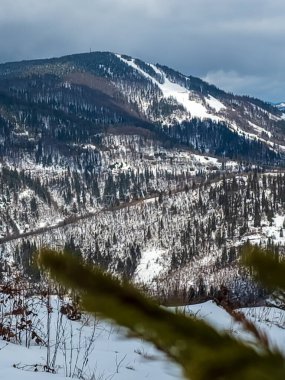 Ormanı ve bulutlu gökyüzü olan kış dağı manzarası