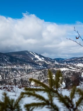 Kar ve ağaçlarla kaplı kış manzarası