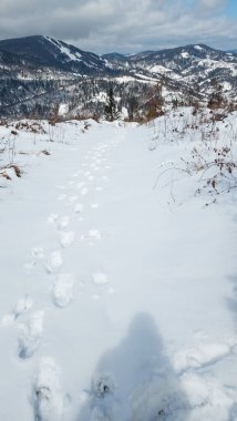 Doğanın güzel manzarası