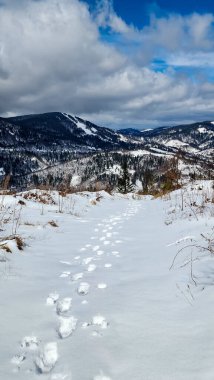Çek Cumhuriyeti'nde kış manzarası