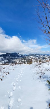 Karlı bir kış manzarası yolu ve karla kaplı tepelere giden bir yol.