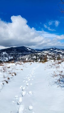 Karla kaplı güzel bir manzara - ağaçlarla kaplı