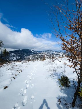 Dağlarda kış yürüyüşü patikası