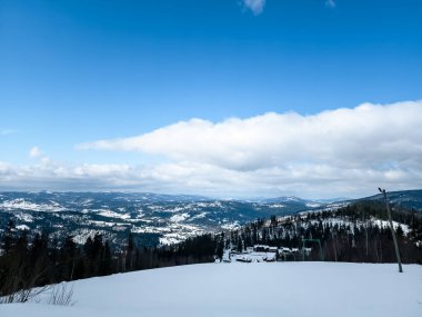 Kış Ormanında Karla Kaplanmış Ağaçlar